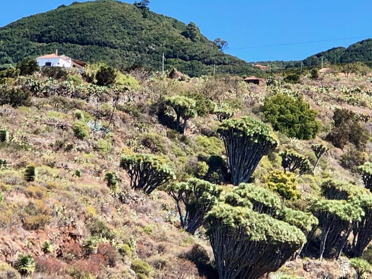 Casa Rural Los Barranquitos Garafía Eksteriør bilde
